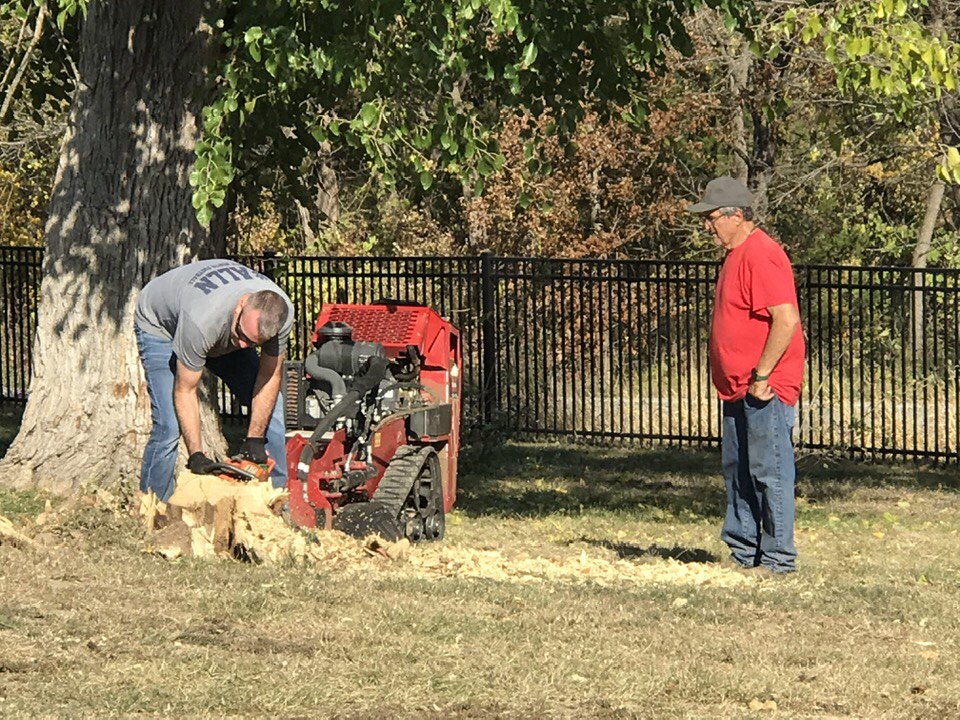 Cody Grinding a Stump